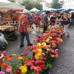 phone camera dump Market Day Cahors 2015 france 101